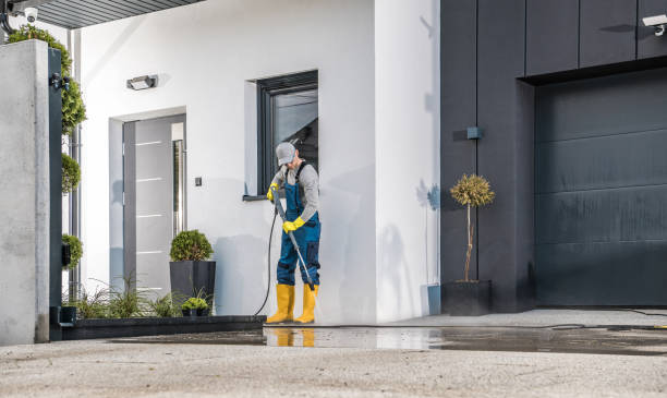 Best Sidewalk and Walkway Cleaning  in Adel, IA